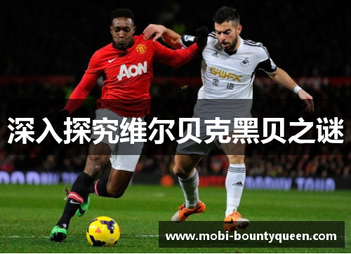 深入探究维尔贝克黑贝之谜 深入探究维尔贝克黑贝之谜