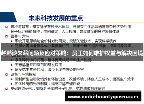 赵鹏谈欠薪问题及应对策略：员工如何维护权益与解决困境