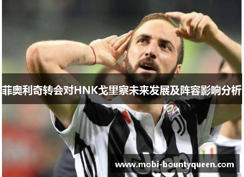 菲奥利奇转会对HNK戈里察未来发展及阵容影响分析 菲奥利奇转会对HNK戈里察未来发展及阵容影响分析