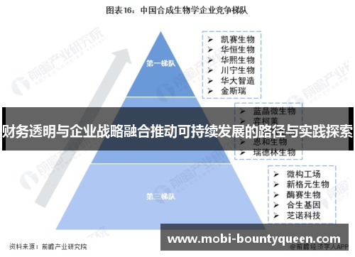 财务透明与企业战略融合推动可持续发展的路径与实践探索