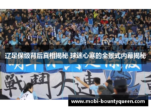 辽足保级背后真相揭秘 球迷心寒的全景式内幕揭秘 辽足保级背后真相揭秘 球迷心寒的全景式内幕揭秘